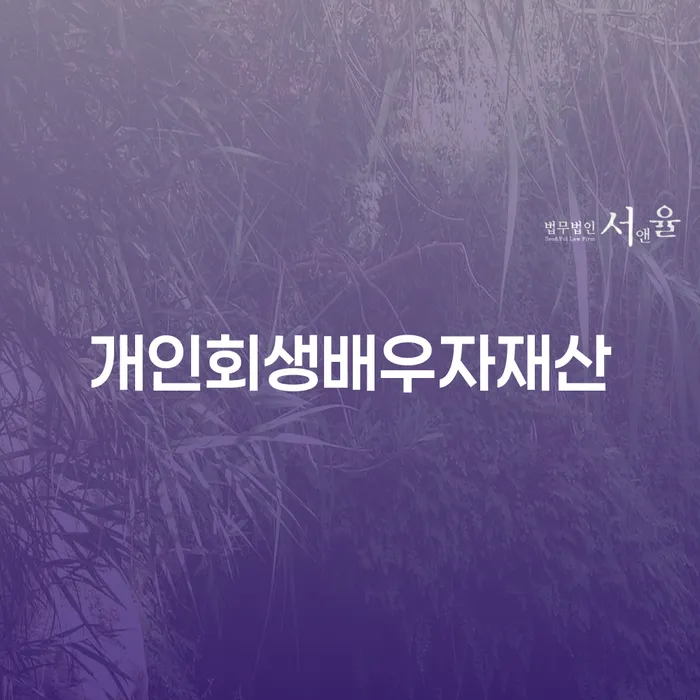 장기연체 대출 연체 개인회생 진행방안
