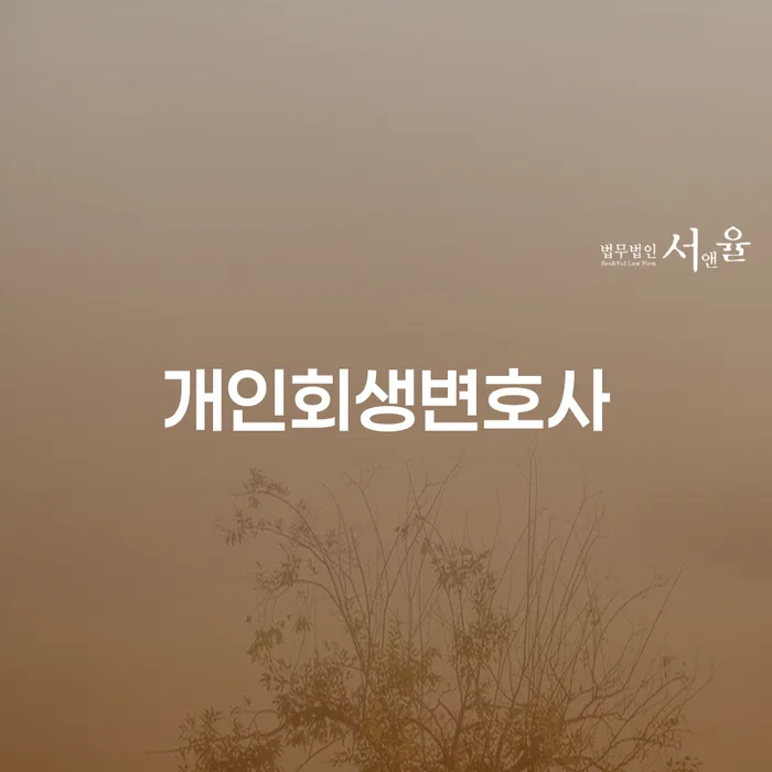 법원 개인회생 채무조정제도을 이용하여 찾는정보들