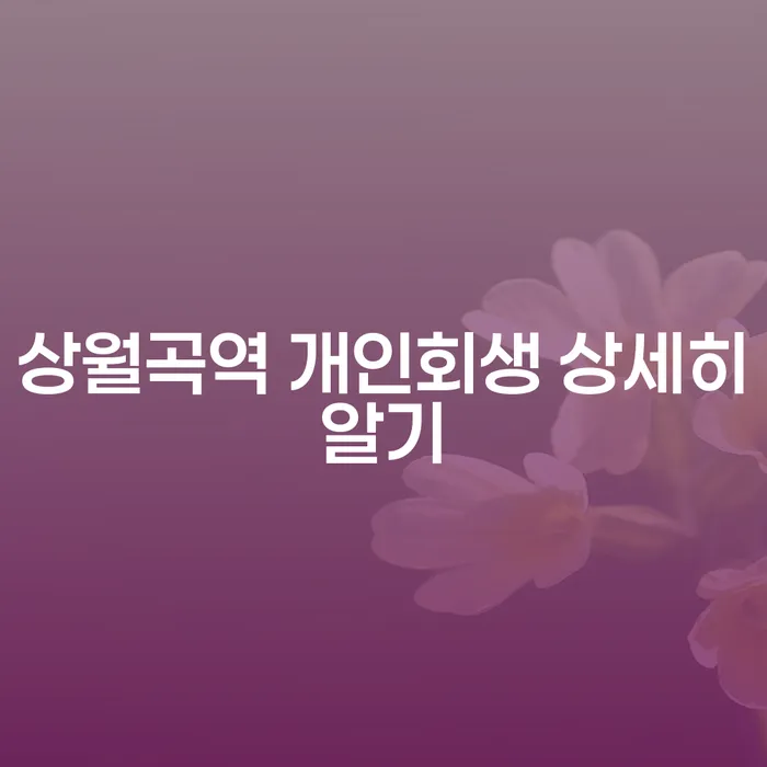 상월곡역 개인회생 상세히알기