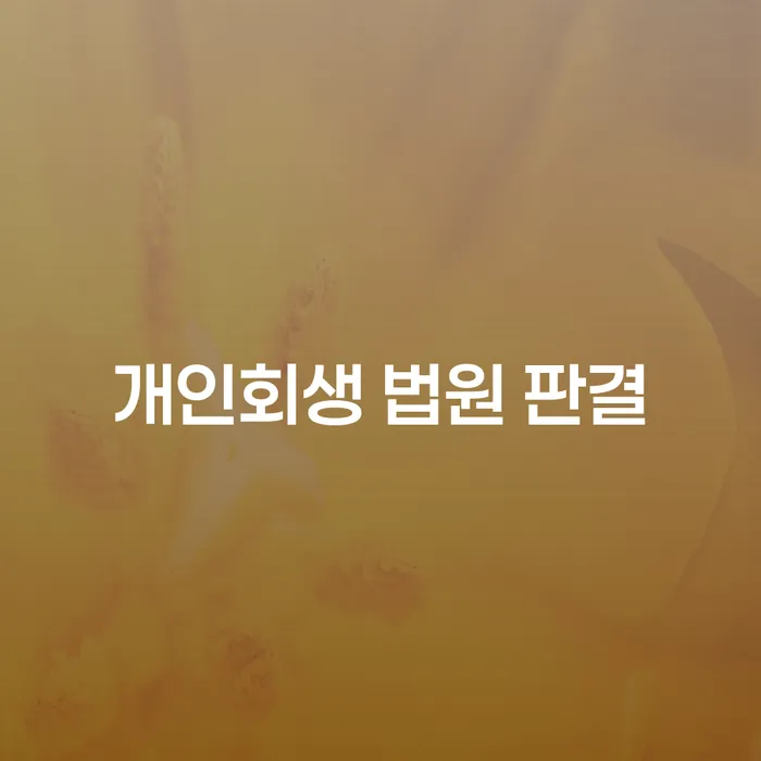 개인회생 법원 판결, 과연 무엇이 중요한가요?