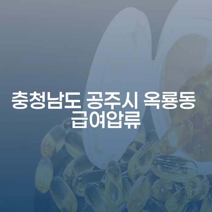충청남도 공주시 옥룡동에서 급여압류를 피하는 방법은 무엇인가요?