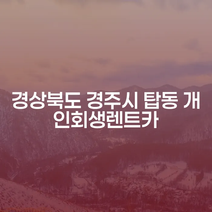 경상북도 경주시 탑동 개인회생렌트카, 도박빚 5억원 해결할 방법은?