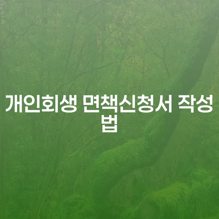 개인회생 면책신청서 작성법, 김해시에서 어떻게 시작할까요?