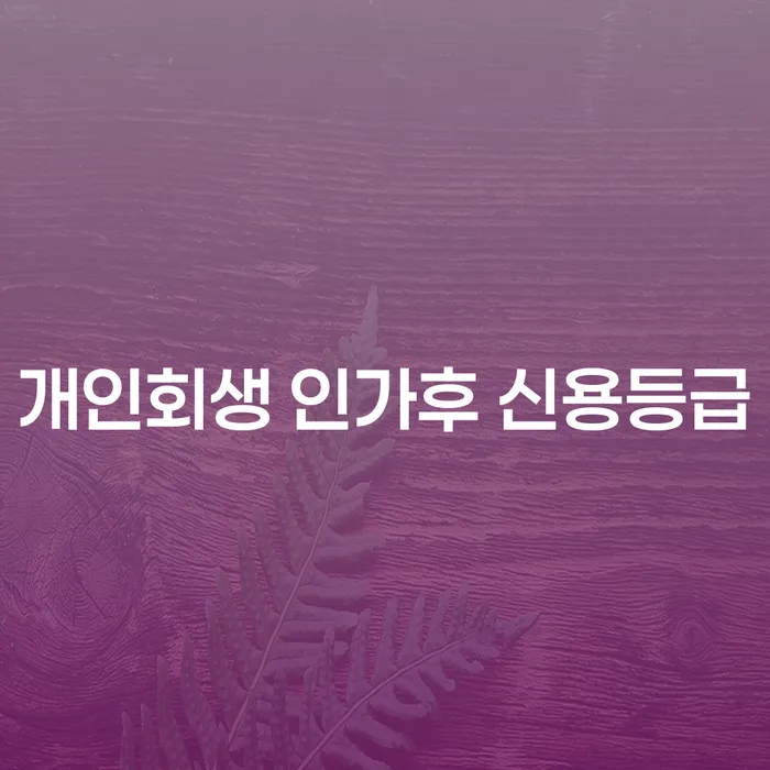 개인회생 인가후 신용등급, 정말 회복될 수 있을까?